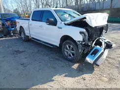 1FTFW1E56KFC36140 2019 FORD F-150