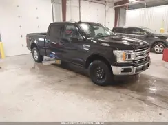 1FTFW1E56KFD02444 2019 FORD F-150
