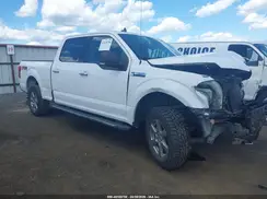 1FTFW1E56KKD05707 2019 FORD F-150