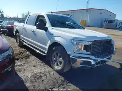 1FTFW1E56KKD49609 2019 FORD F-150