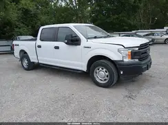 1FTFW1E56KKE23272 2019 FORD F-150