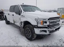 1FTFW1E56LFA65097 2020 FORD F-150