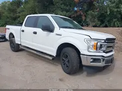1FTFW1E56LFB22401 2020 FORD F-150