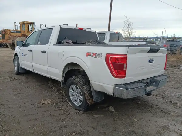 1FTFW1E56MFA74352 2021 FORD F-150 - Image 2