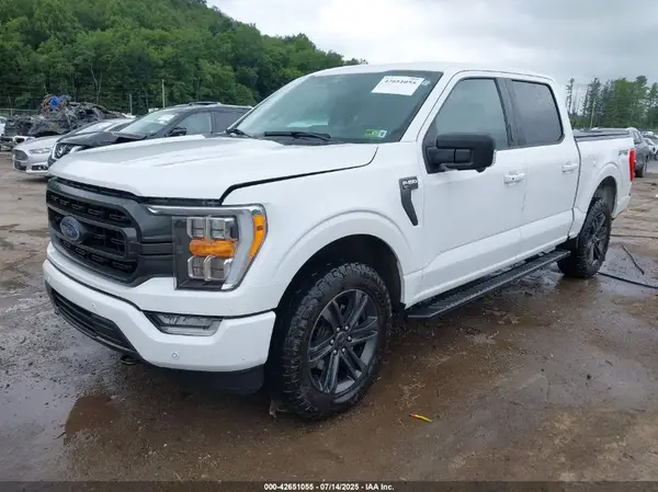 1FTFW1E56MFB61104 2021 FORD F-150 - Image 2