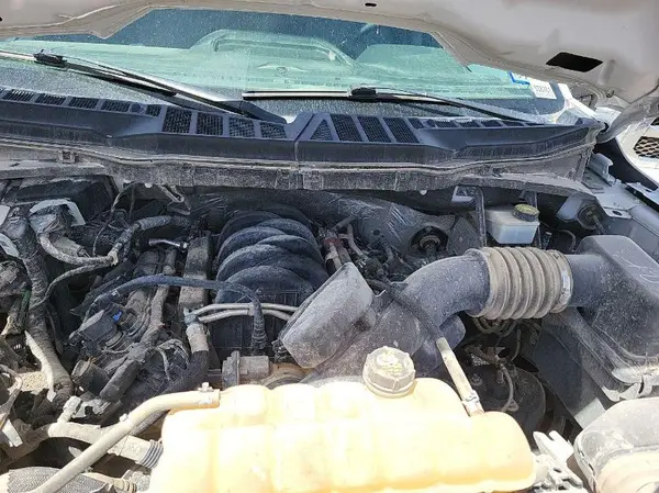 1FTFW1E56MFB63743 2021 FORD F-150 - Image 1