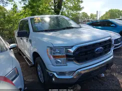 1FTFW1E56MFB96239 2021 FORD F-150