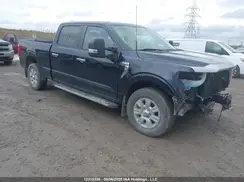 1FTFW1E56MFD02656 2021 FORD F-150