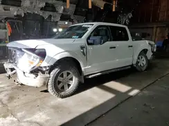 1FTFW1E56MKE44027 2021 FORD F-150
