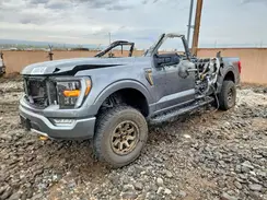 1FTFW1E56PFB03370 2023 FORD F-150
