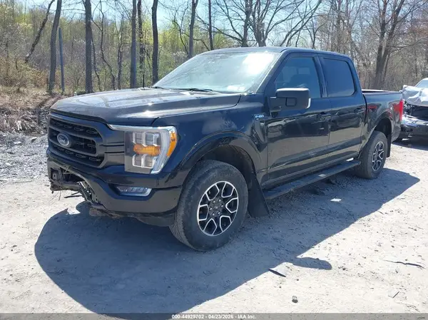 1FTFW1E56PKD43493 2023 FORD F-150 - Image 2