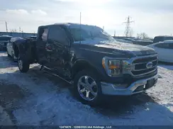 1FTFW1E56PKF24612 2023 FORD F-150