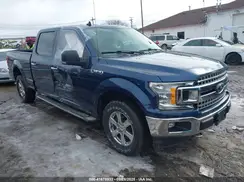 1FTFW1E57KFC81703 2019 FORD F-150