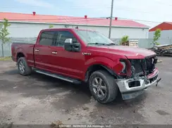 1FTFW1E57KKD41311 2019 FORD F-150
