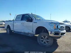1FTFW1E57KKE11034 2019 FORD F-150