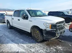 1FTFW1E57KKE16153 2019 FORD F-150