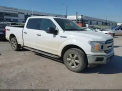 1FTFW1E57LKE36680 2020 FORD F-150