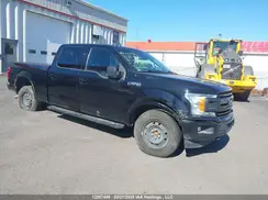 1FTFW1E57LKE98645 2020 FORD F-150
