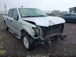 1FTFW1E58KFB51302 2019 FORD F-150