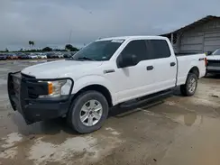 1FTFW1E58KKE36248 2019 FORD F-150
