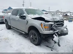 1FTFW1E58MKE09246 2021 FORD F-150