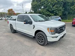 1FTFW1E58MKE84447 2021 FORD F-150