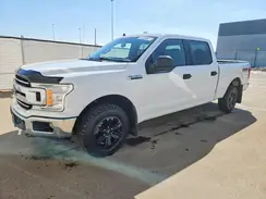 1FTFW1E59KFA24302 2019 FORD F-150