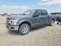 1FTFW1E59KFB30460 2019 FORD F-150