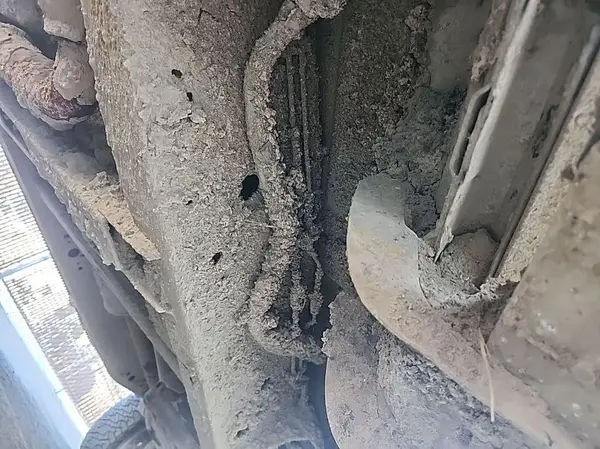 1FTFW1E59KKD28009 2019 FORD F-150 - Image 8