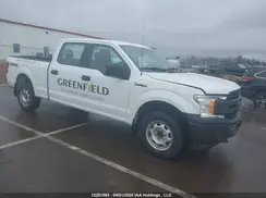 1FTFW1E59LFB16494 2020 FORD F-150