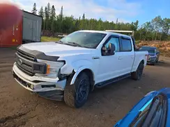 1FTFW1E59LKD92813 2020 FORD F-150