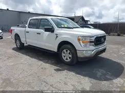 1FTFW1E59MFB18862 2021 FORD F-150