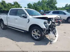 1FTFW1E59MKD40177 2021 FORD F-150