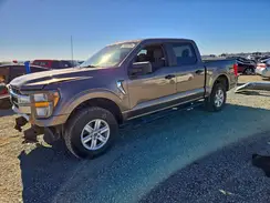 1FTFW1E59PFA36330 2023 FORD F-150