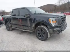 1FTFW1E59PFA56657 2023 FORD F-150