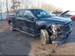 1FTFW1E59PFB44415 2023 FORD F-150
