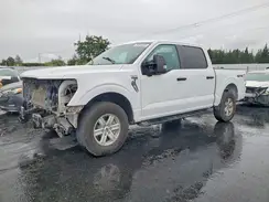 1FTFW1E59PKD11962 2023 FORD F-150