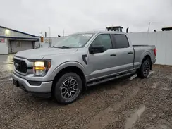 1FTFW1E59PKD39339 2023 FORD F-150