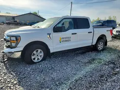 1FTFW1E59PKD53631 2023 FORD F-150