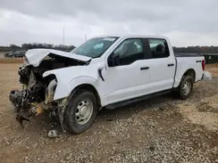 1FTFW1E59PKE10815 2023 FORD F-150