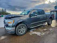 1FTFW1E59PKE13780 2023 FORD F-150