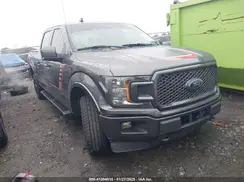 1FTFW1E5XKFB97259 2019 FORD F-150