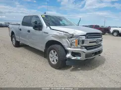1FTFW1E5XKFC50896 2019 FORD F-150