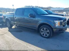 1FTFW1E5XKFD04214 2019 FORD F-150