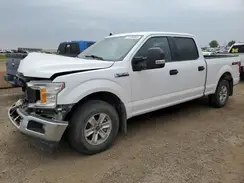 1FTFW1E5XKKC25715 2019 FORD F-150