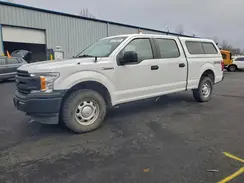 1FTFW1E5XKKC36553 2019 FORD F-150