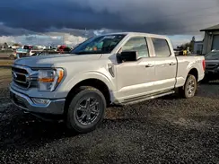 1FTFW1E5XMKD95592 2021 FORD F-150