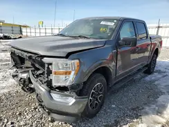 1FTFW1E5XNKE36109 2022 FORD F-150