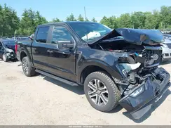 1FTFW1E5XPFA73645 2023 FORD F-150