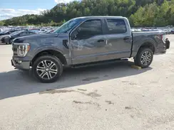 1FTFW1E5XPFB19619 2023 FORD F-150